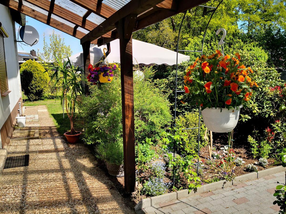 Künstler Ferienwohnung 3 Zimmer Küche Bad zentrale Lage Wulsbuttel Exterior foto