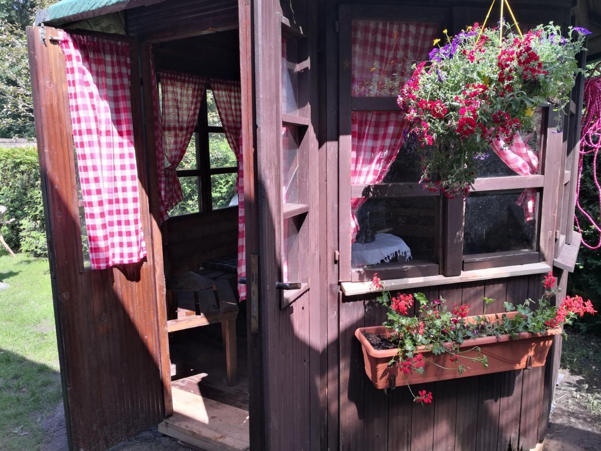 Künstler Ferienwohnung 3 Zimmer Küche Bad zentrale Lage Wulsbuttel Exterior foto